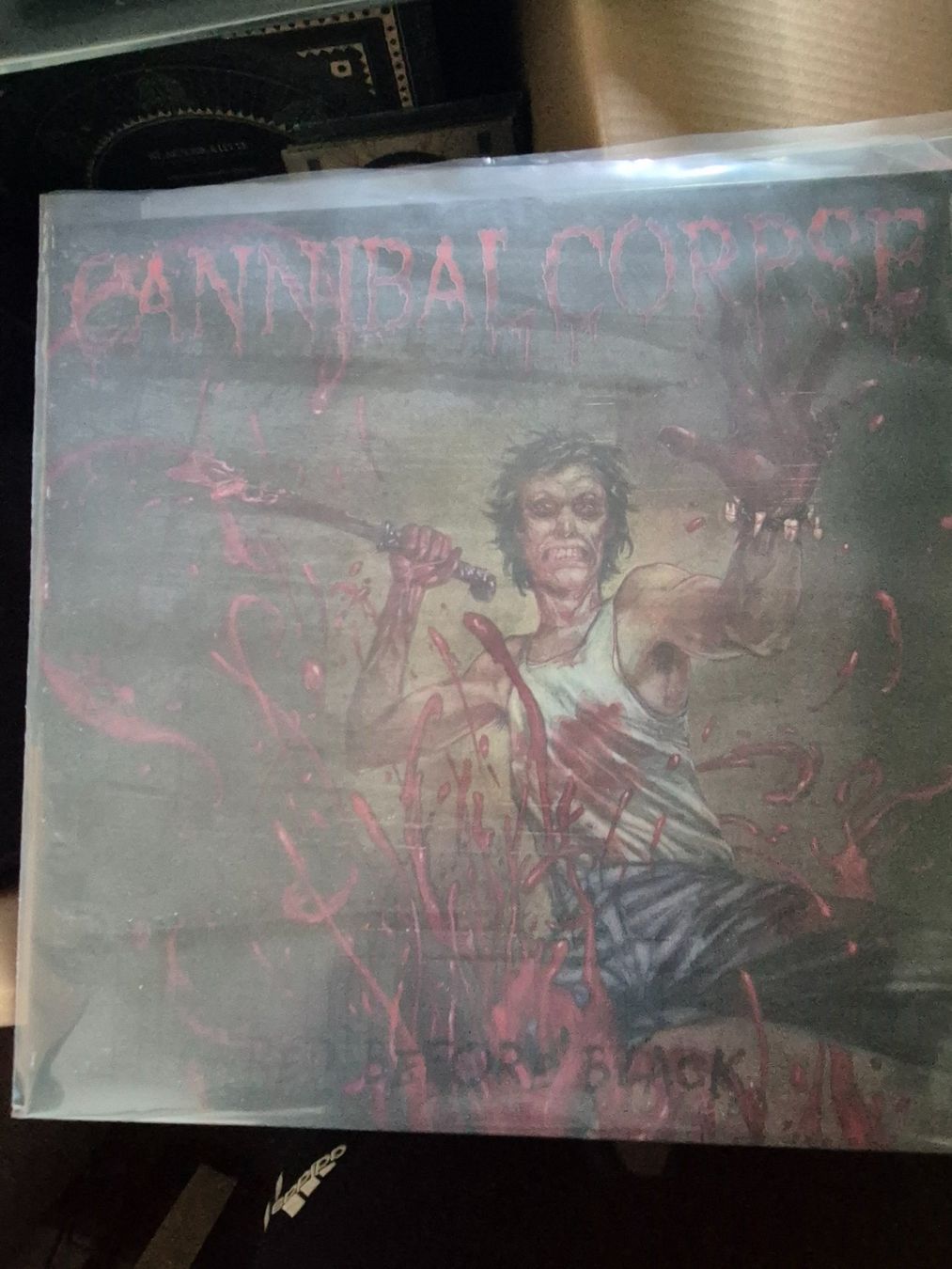 Dischi in vinile: Lot 6 vinyles Cannibal Corpse – Usato da Estavayer-Gibloux venduto da zom_j92z 1