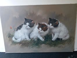 Busdee "Katzen" Gemälde