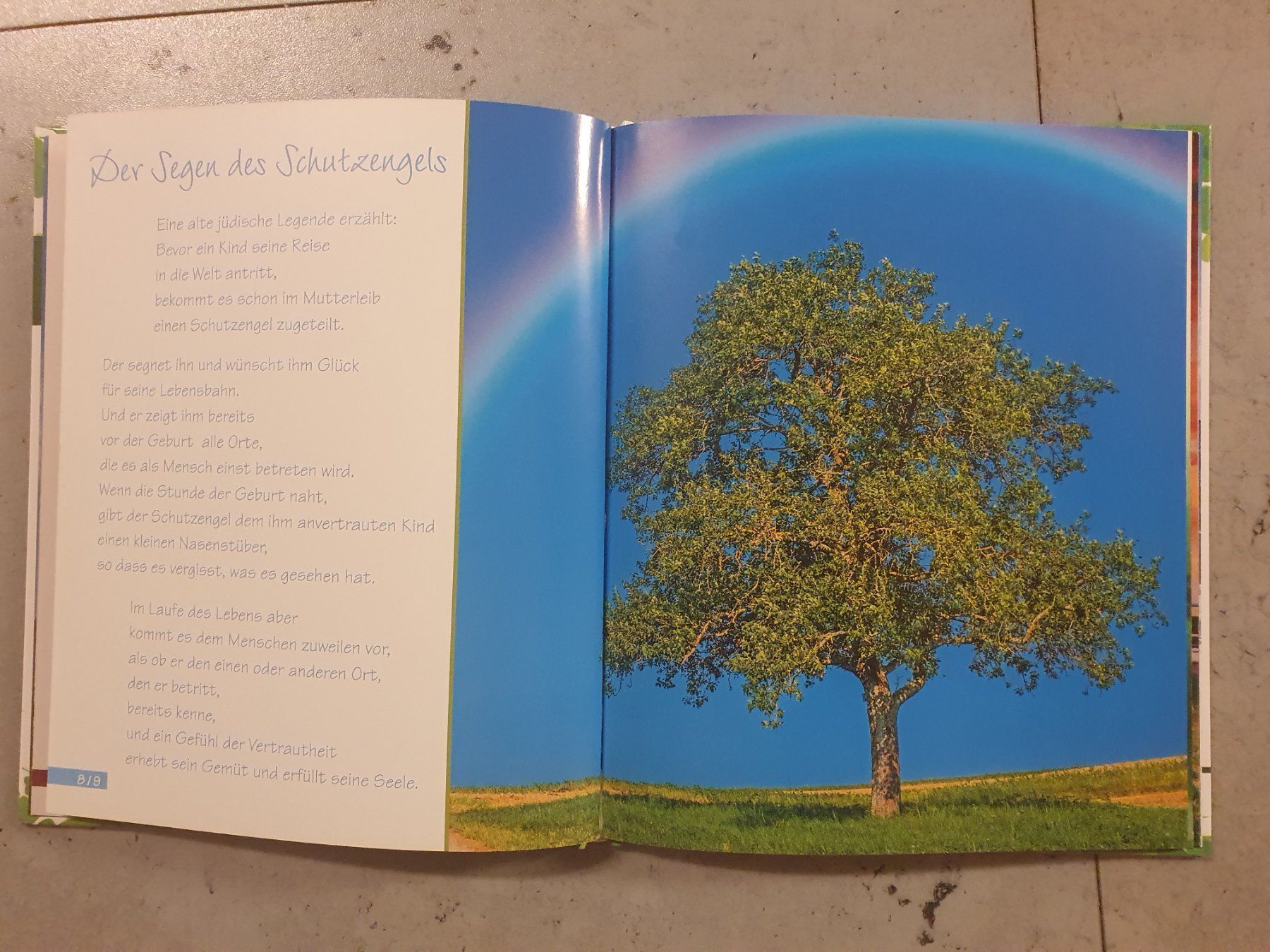 Libri: Ein Engel der Freude begleitet dich – Nuovo (secondo la descrizione) da Moosseedorf venduto da Sonnenschein.. 3