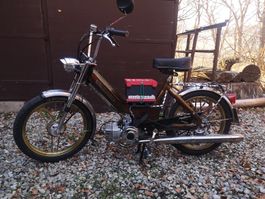 Puch maxi N