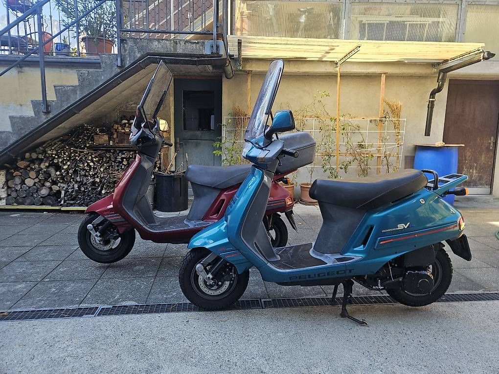 Scooters: Peugeot SV 125 – Gebraucht aus Flüelen von ProfWalker 2