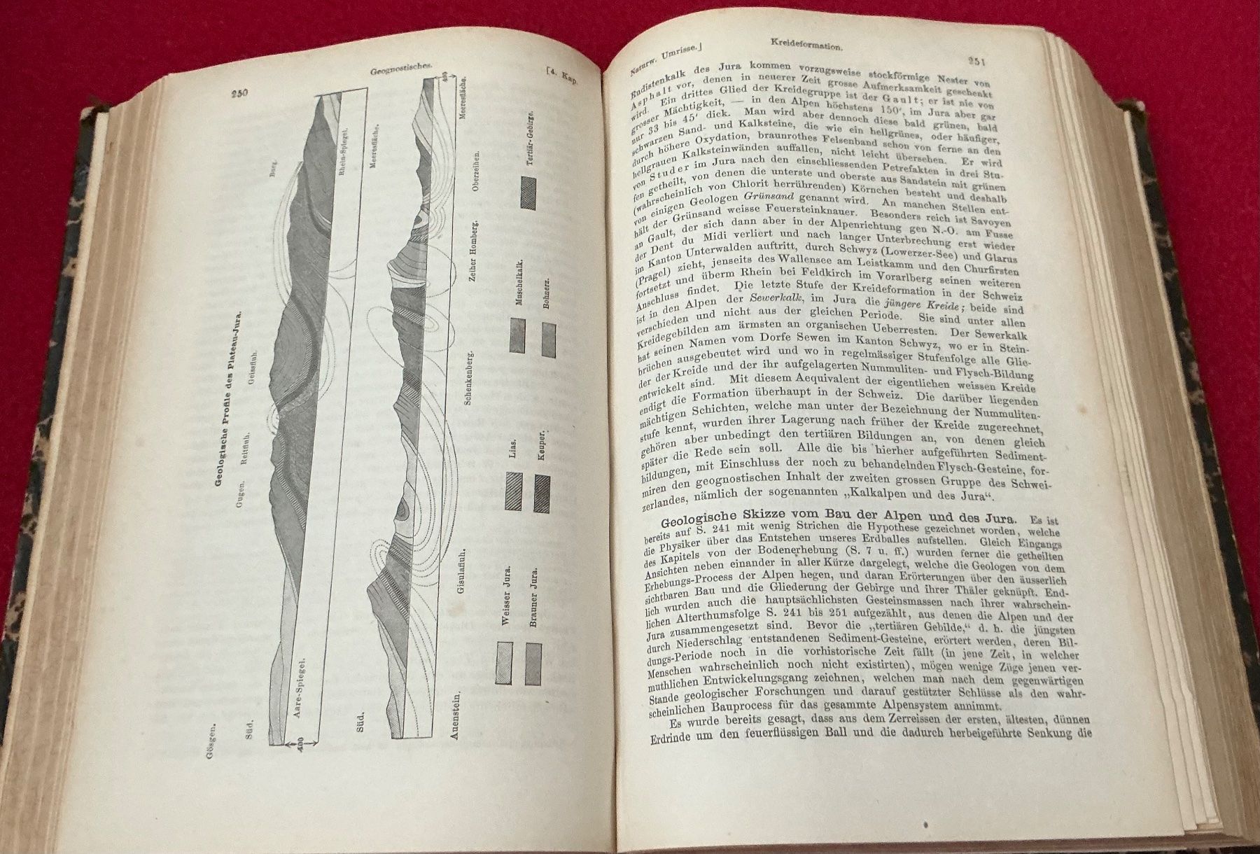Bücher: Schweizerkunde, H.A. Berlepsch, 1875, Rarität – Gebraucht aus Crans-Montana von plainemorte 6