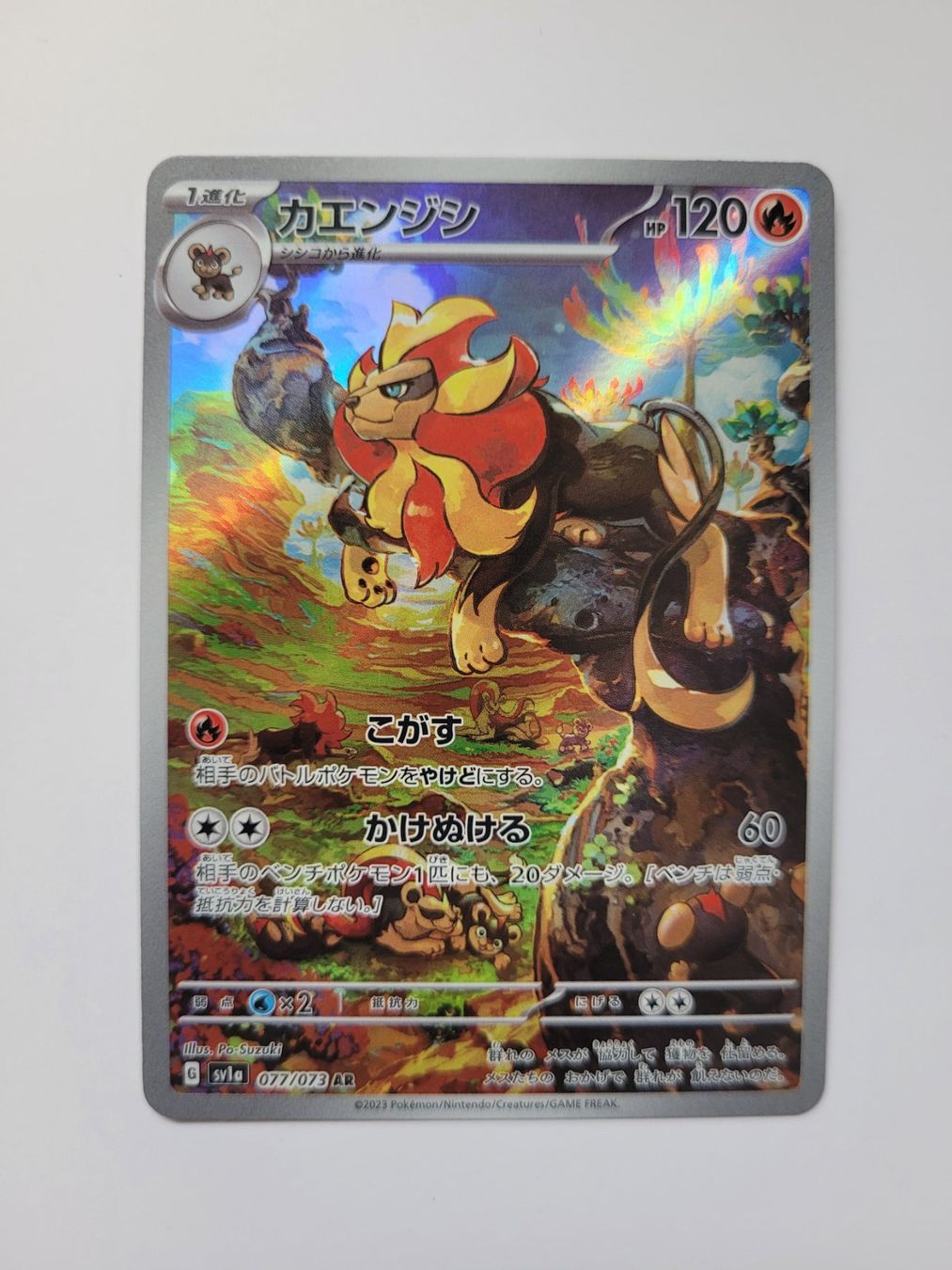 Pokémon Carte collezionabili: Pokemon TCG Pyroar sv1a 077/073 AR JP – Usato da Münchenstein venduto da new_akiba_store