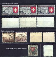 Abart diverse zB Landi stark abgenutzte Platte