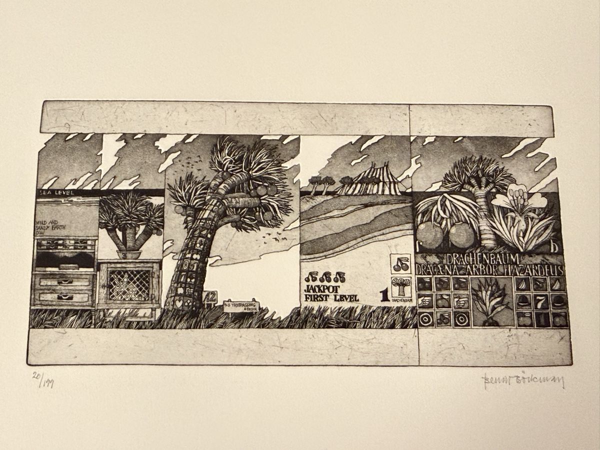 Grafica & Litografie: Bengt Böckman - Radierung – Usato da Solothurn venduto da NUVICO 3