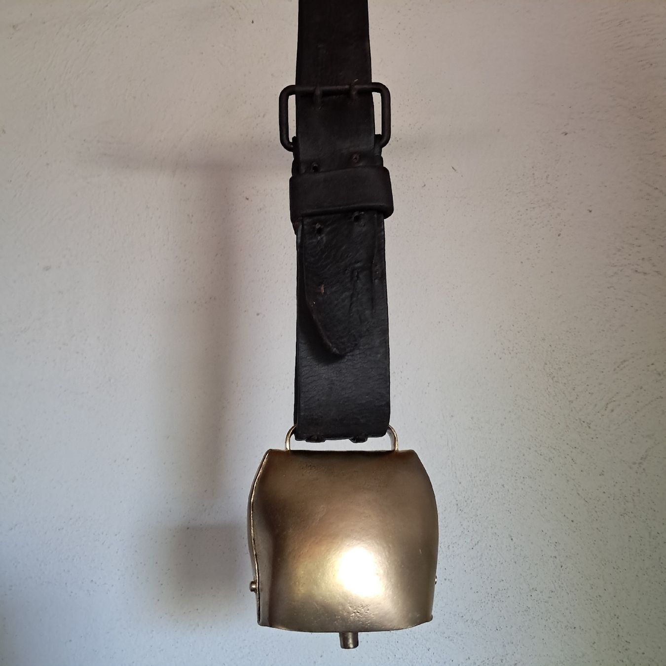 Campanacci mucche: Gute Weidetreichel  – Usato da Murten venduto da SHETHOF 7