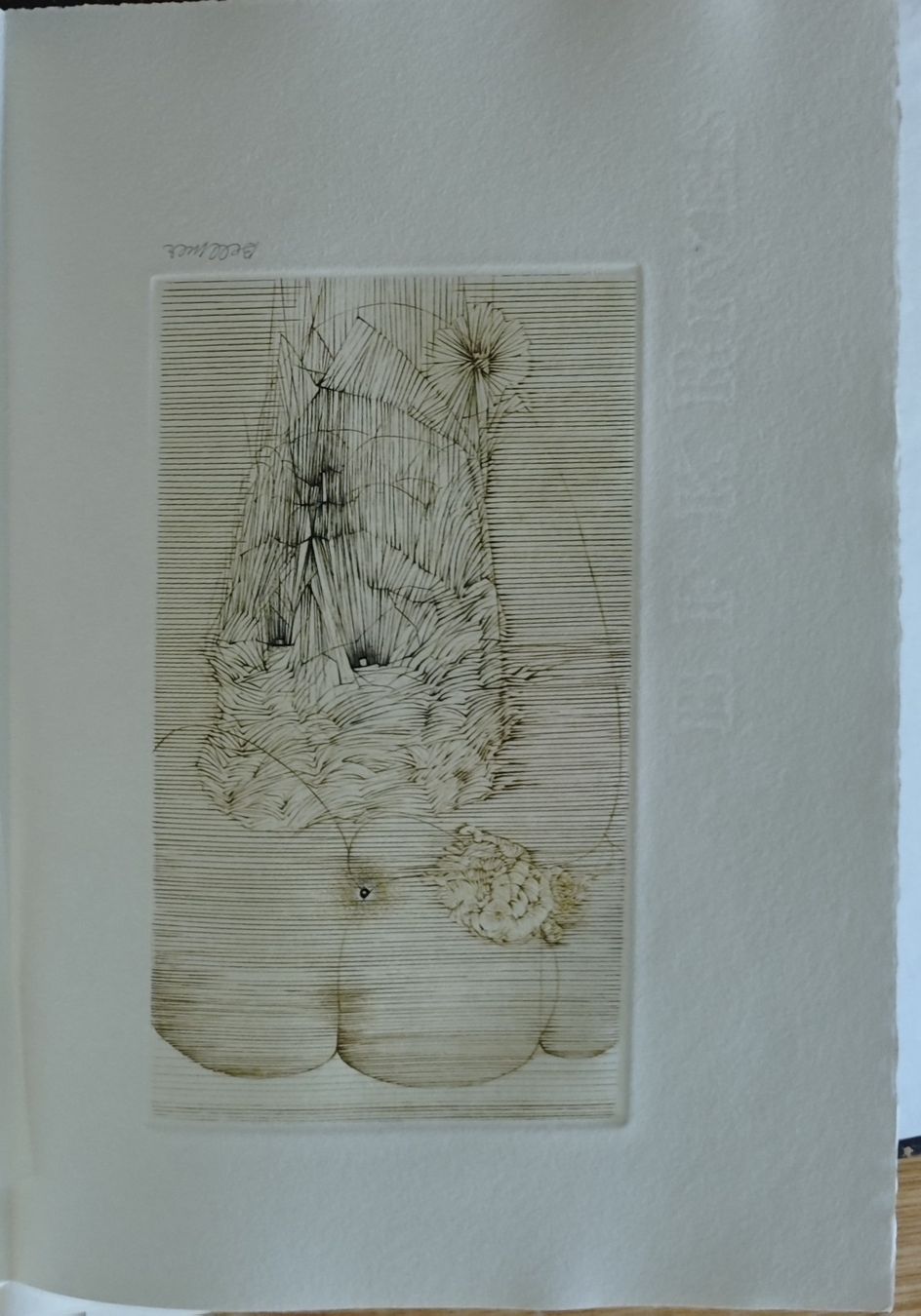 Tableaux: Hans Bellmer Mode d'emploi 1967 Etching Print – D'occasion à St moritz par apog 3