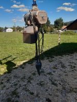 palan électrique 2500kg SIG