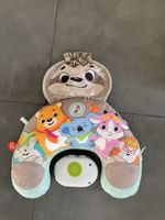 Fisher-Price Soothe 'n Play Sloth Gym - Excellent! 49