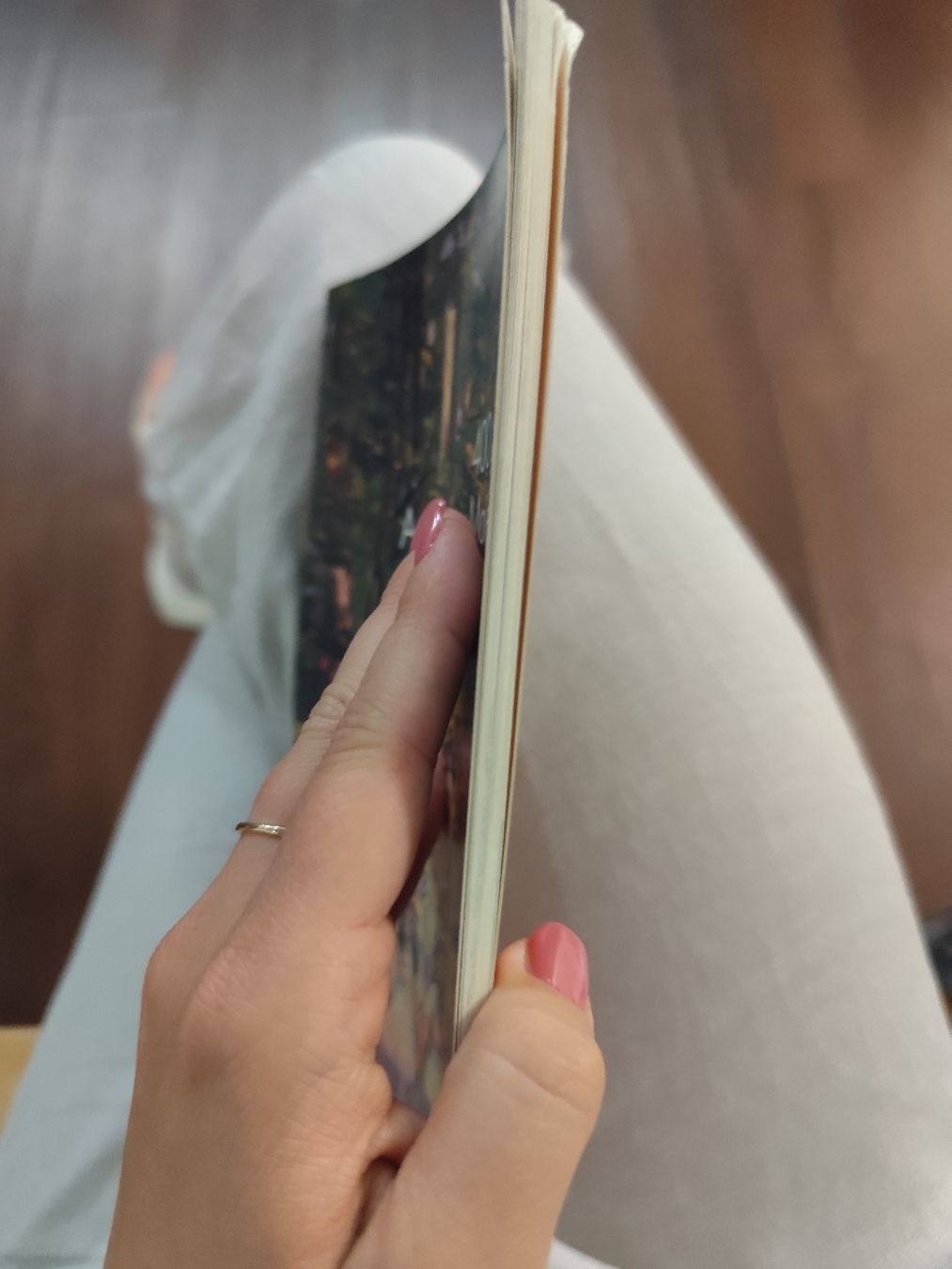 Libri: Aarauer Maienzug - 400 Jahre – Usato da Mägenwil venduto da VintageGirly 7