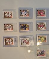 Panini Extra-Sticker 2026