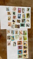 Magnifique collection de timbres: Chiens du monde entier