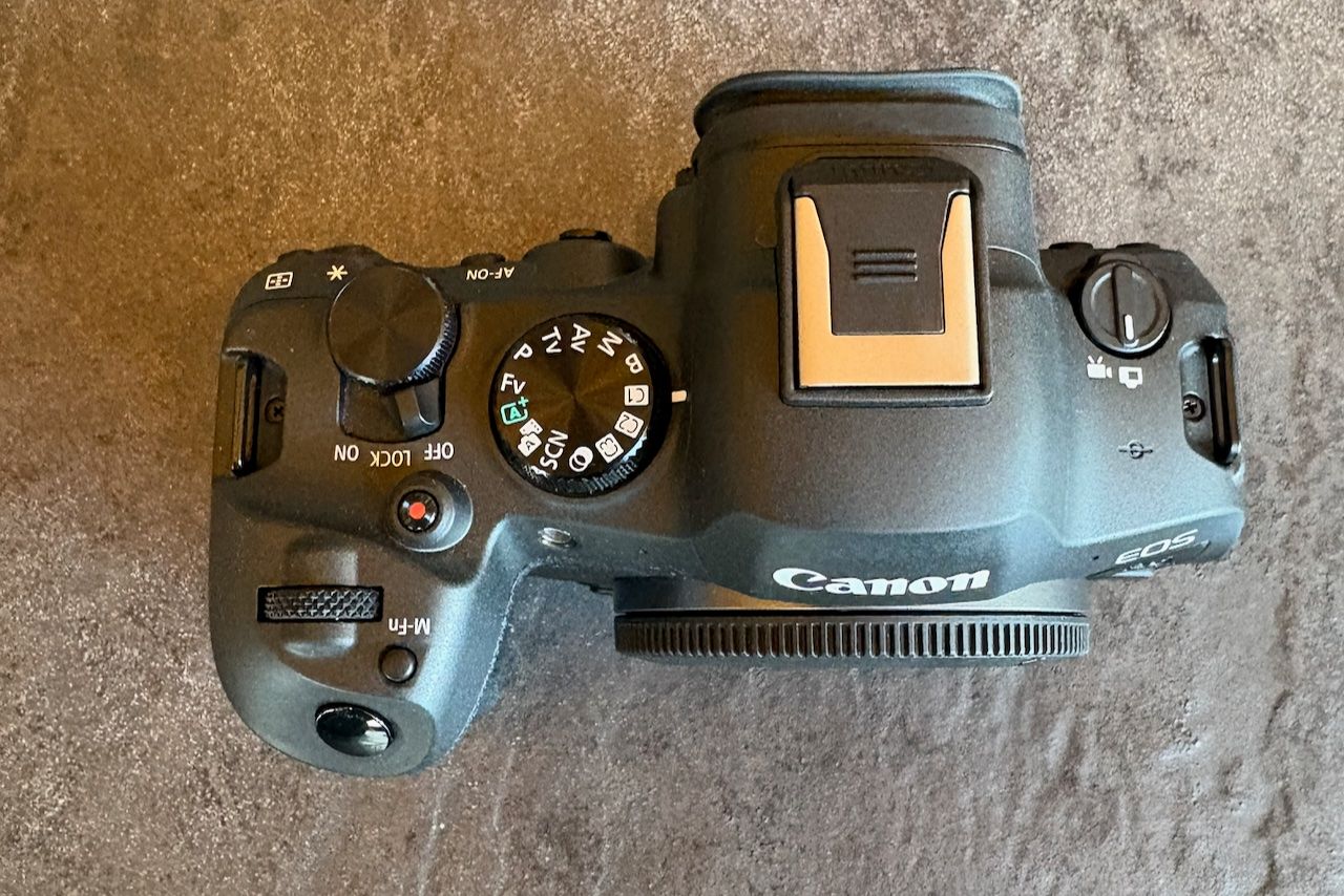 Canon Fotocamera: Canon EOS R6 Mark II – Usato da Levron venduto da 23475 2