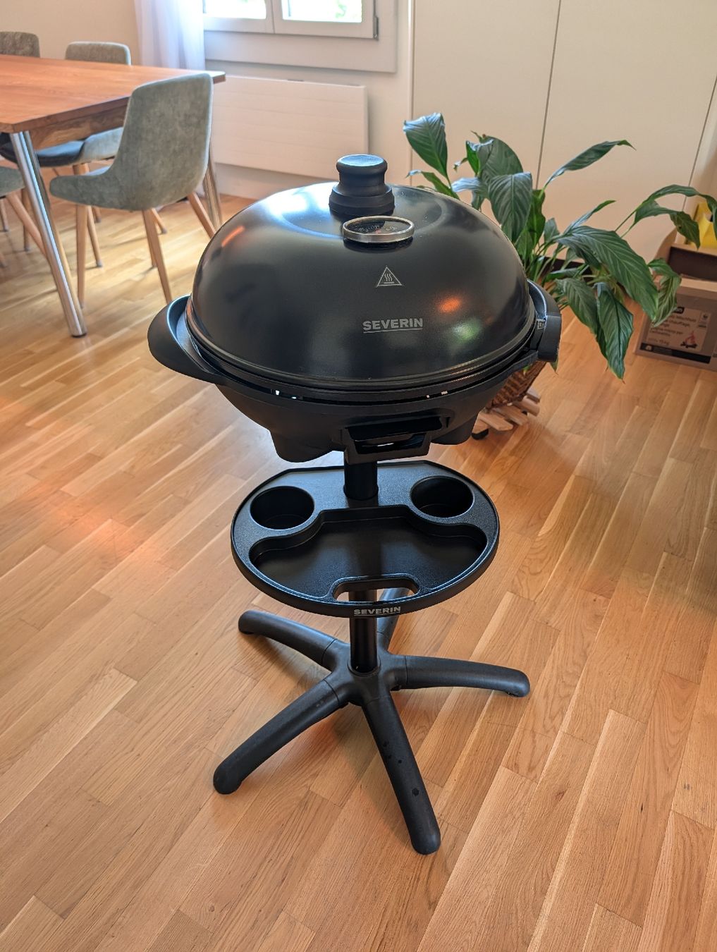 Griglie: Severin Barbecue-Grill PG 8541 – Usato da Aarau venduto da blinx512