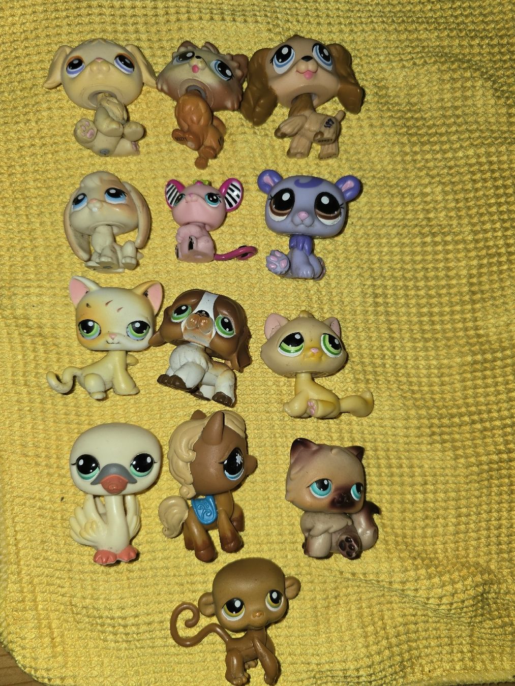 Hasbro Statuette: 13 LPS Tiere – Usato da Büsserach venduto da sobis.trade