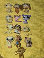 13 LPS Tiere