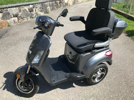 Elektromobil Swiss Edition 1100