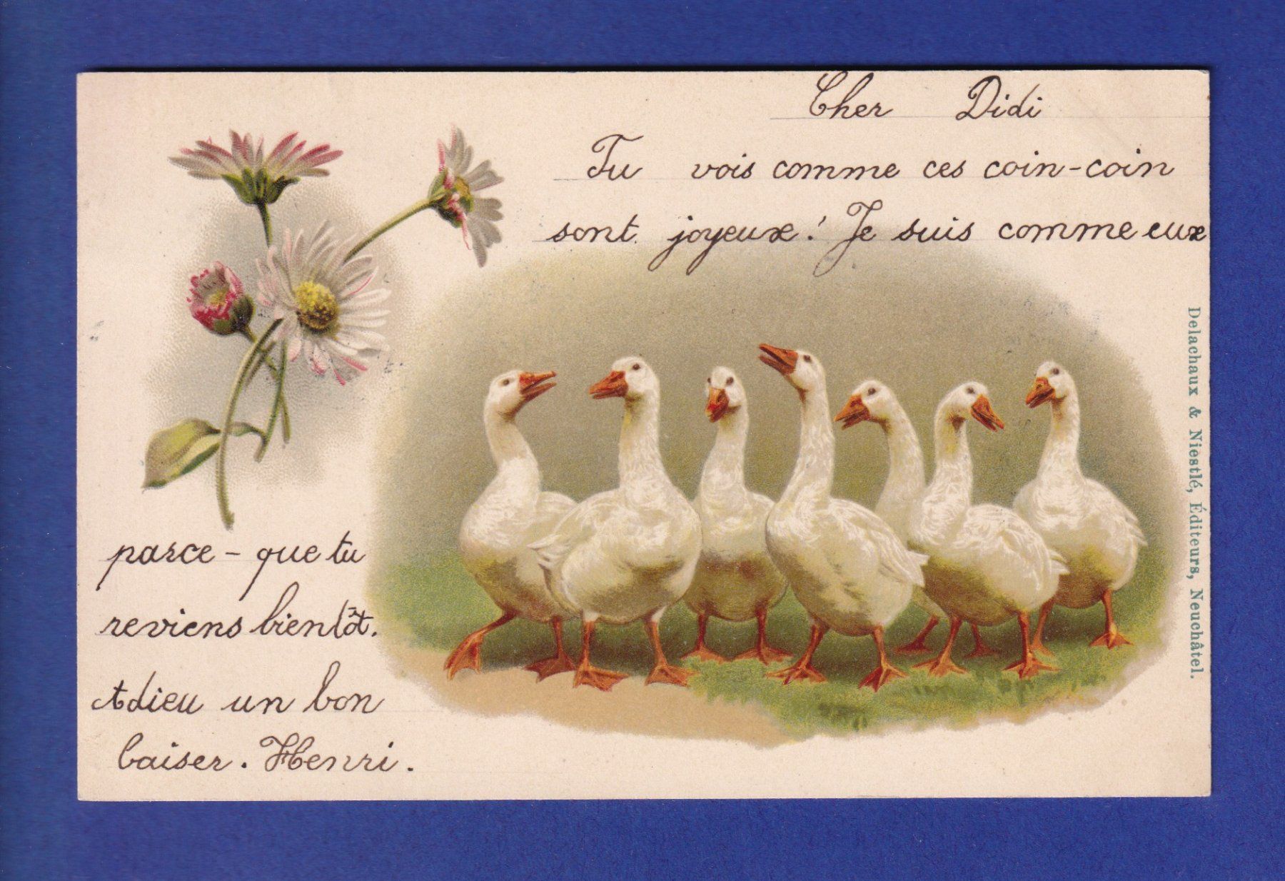 Cartoline postali: OISEAU - Des oies – Usato da Pully venduto da nicecards-shop