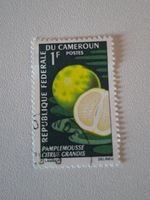 Kamerun Briefmarke mit Pampelmuse