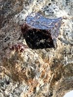 Top! Granat Kristalle in Matrix, Schweiz, Piora Tessin!
