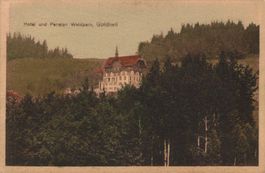 Alte Ansichtskarte Hotel Waldpark Goldiwil, gel. 1913