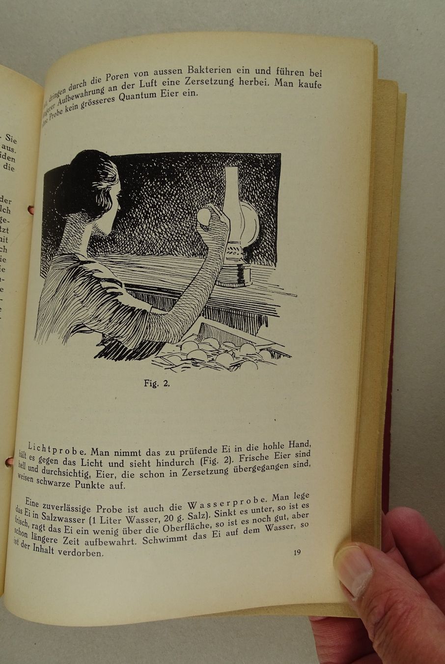 Bücher: SUNLIGHT-BUCH HAUSHALTEN, 20er JAHRE – Gebraucht aus Grüningen von Kartensammler 5