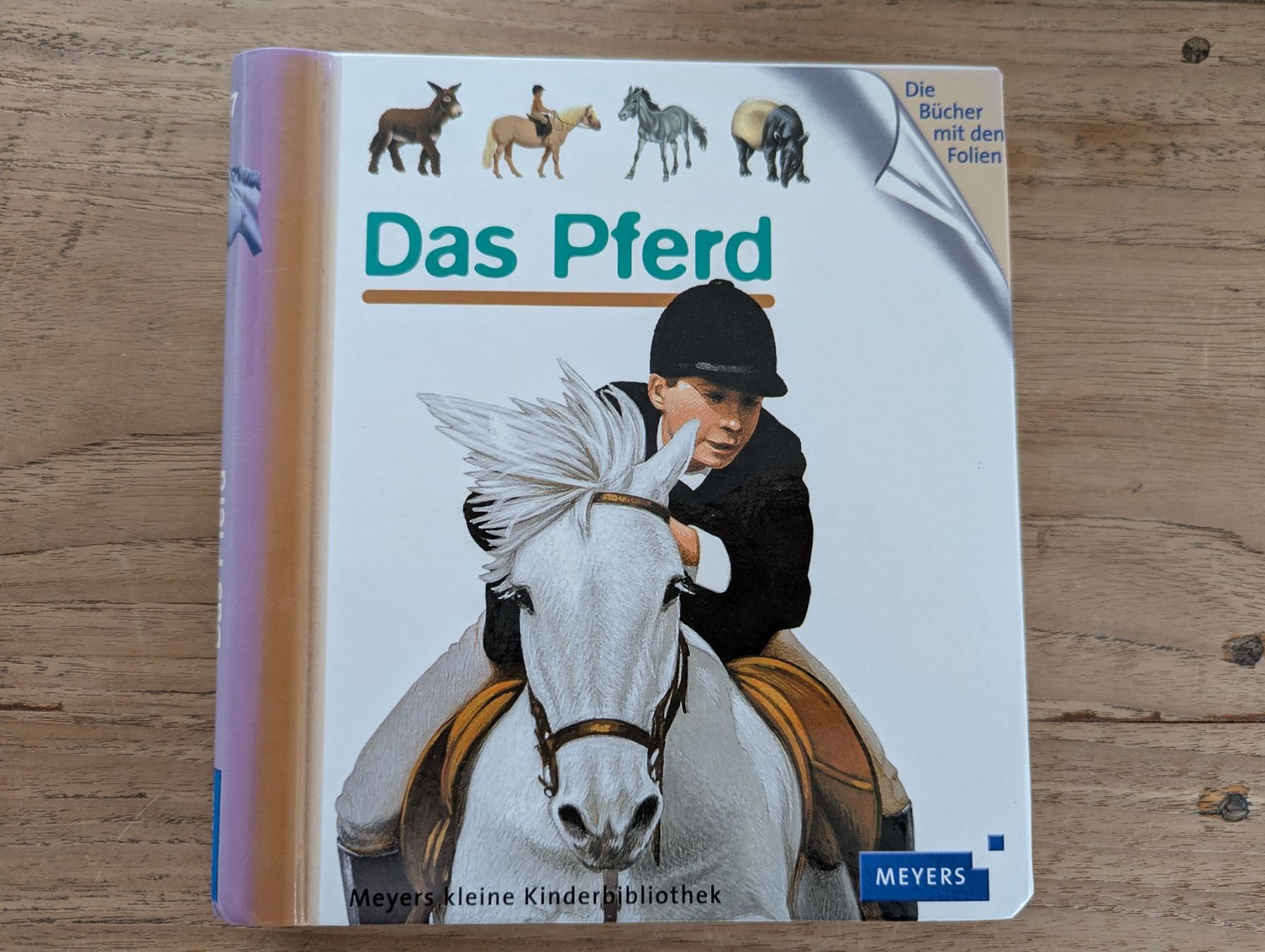 Libri: Bilderbuch: Das Pferd – Usato da Inwil venduto da rednag_tam