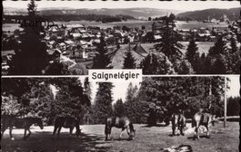 AK Saignelégier