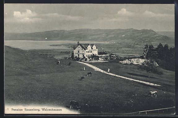 Cartoline postali: Walzenhausen, Pension Rosenberg mit Stra – Usato da Berlin venduto da bartko-reher