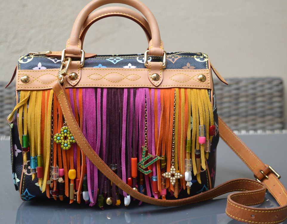 Tasche Louis Vuitton Fringe Speedy 25 Multicolor sac