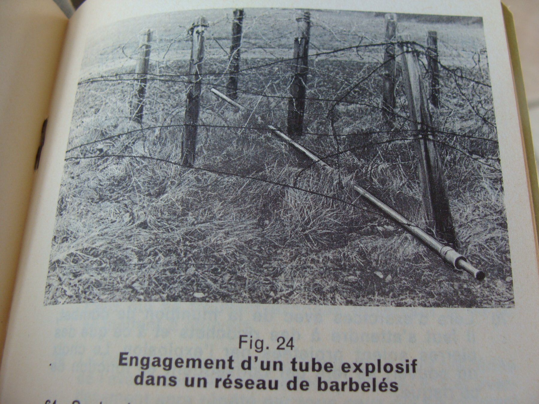 Schweizer Armee Armi bianche: Militaire, règlement § – Usato da Cuarny venduto da hen_g7hn 6