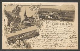 Carte P de 1899 ( Souvenir de la Côte-aux-Fées )