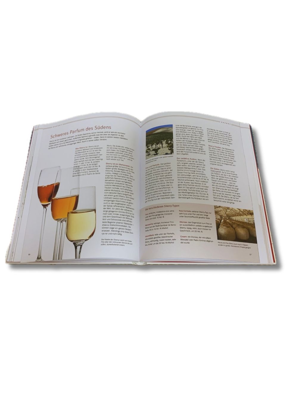 Bücher: Buch Kleine Weinschule – Gebraucht aus Basel von Budas 1