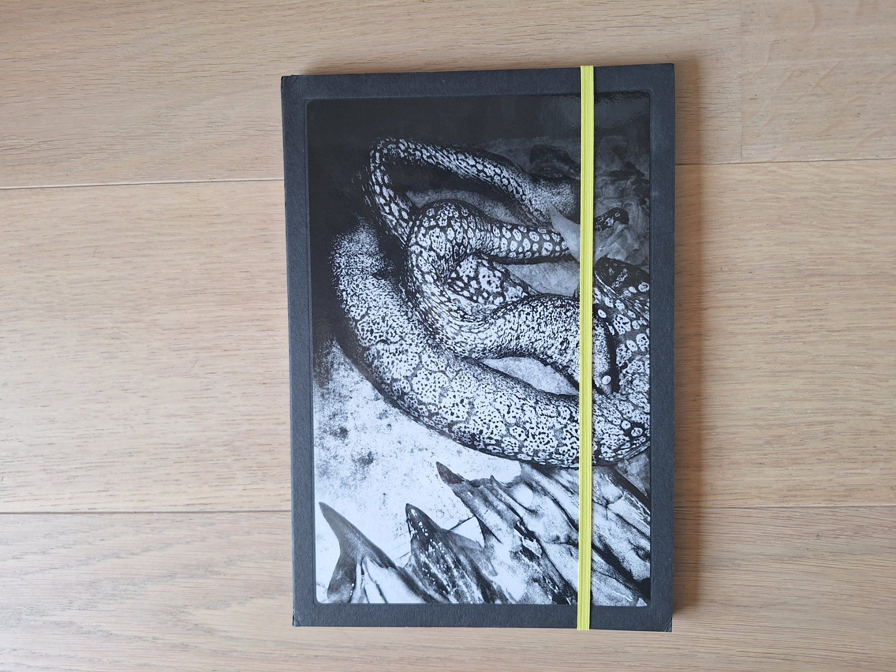 Libri: Anders Petersen : Napoli – Usato da Chardonne venduto da tonkun