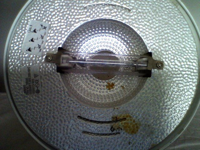 Lampade: Steh und Leselampe – Usato da Liesberg venduto da Concombres8478 4