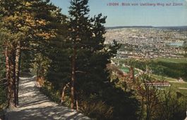 Ansichtskarte Blick vom Uetliberg-Weg auf Zürich 1921