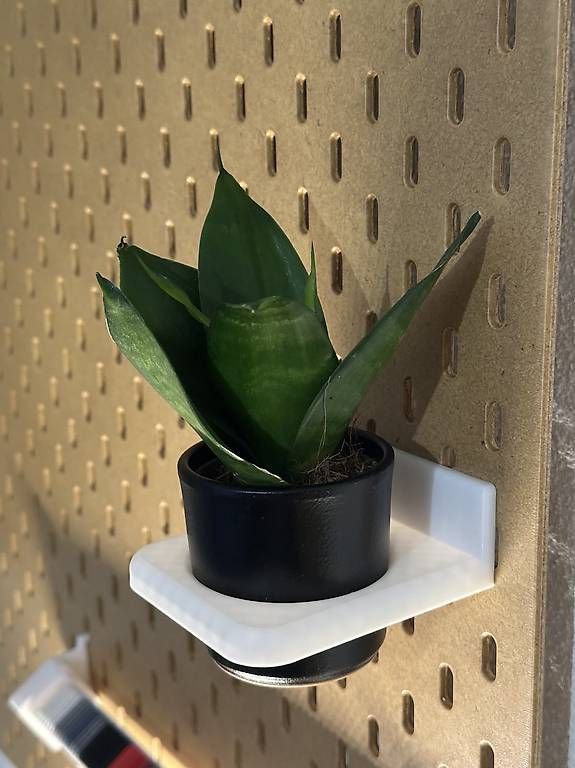 Supporti a parete: Pflanzenhalterung Ikea Skadis – Nuovo (secondo la descrizione) da Weinfelden venduto da vogel.fit 1