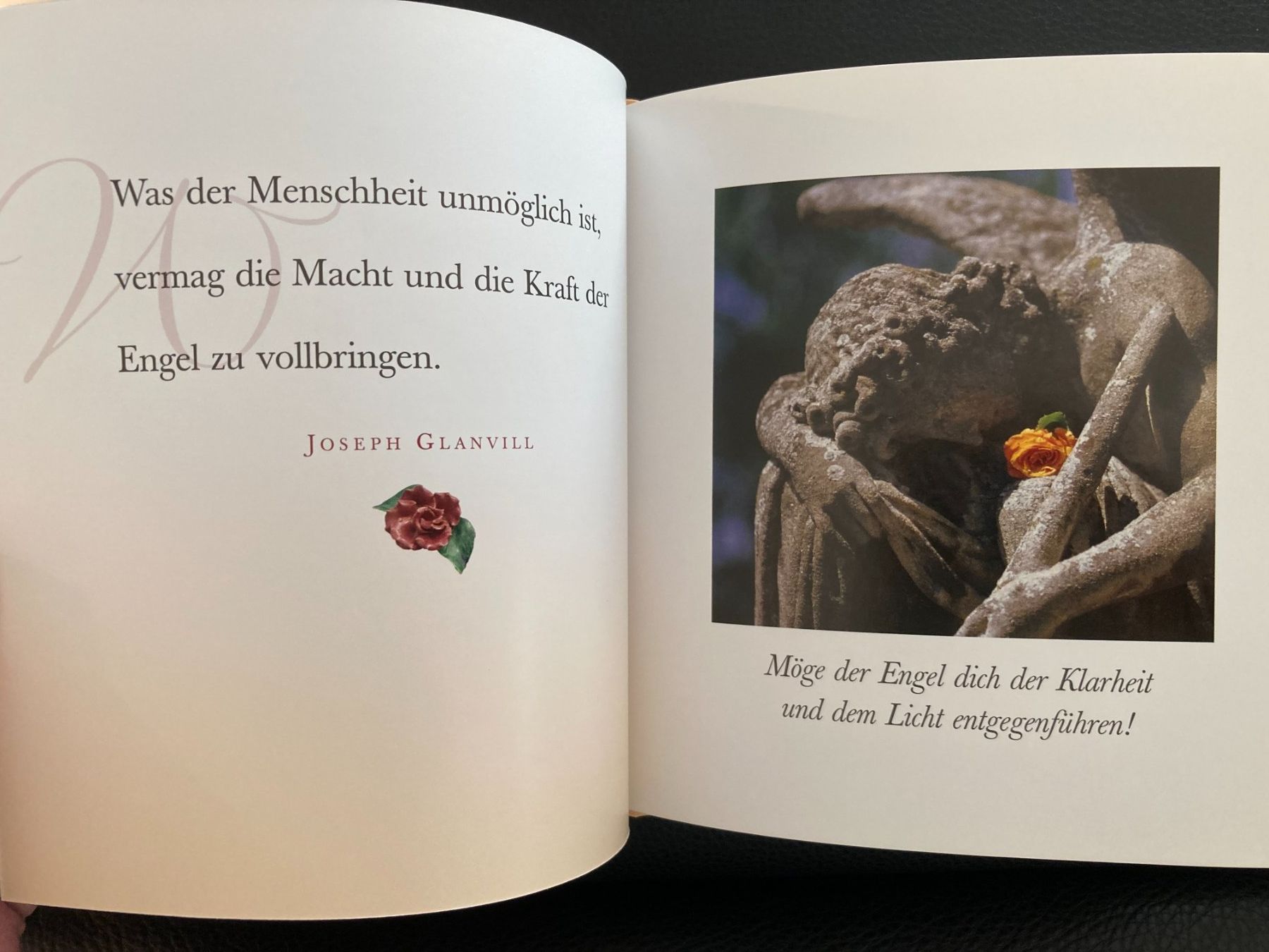 Libri: Engelsbotschaften des  Schutzes   gebundenes Buch – Usato da Subingen venduto da Etageren 3
