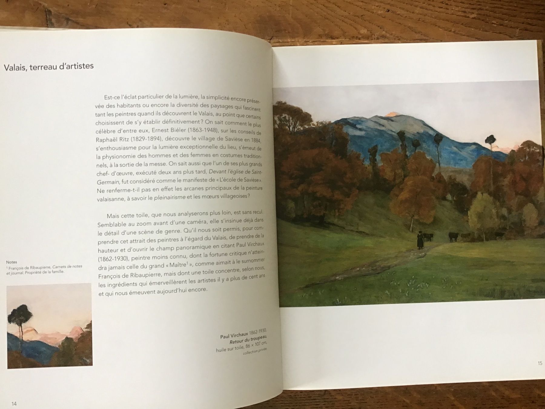 Libri: Les peintres en Valais – Usato da Fully venduto da Ruby97 3