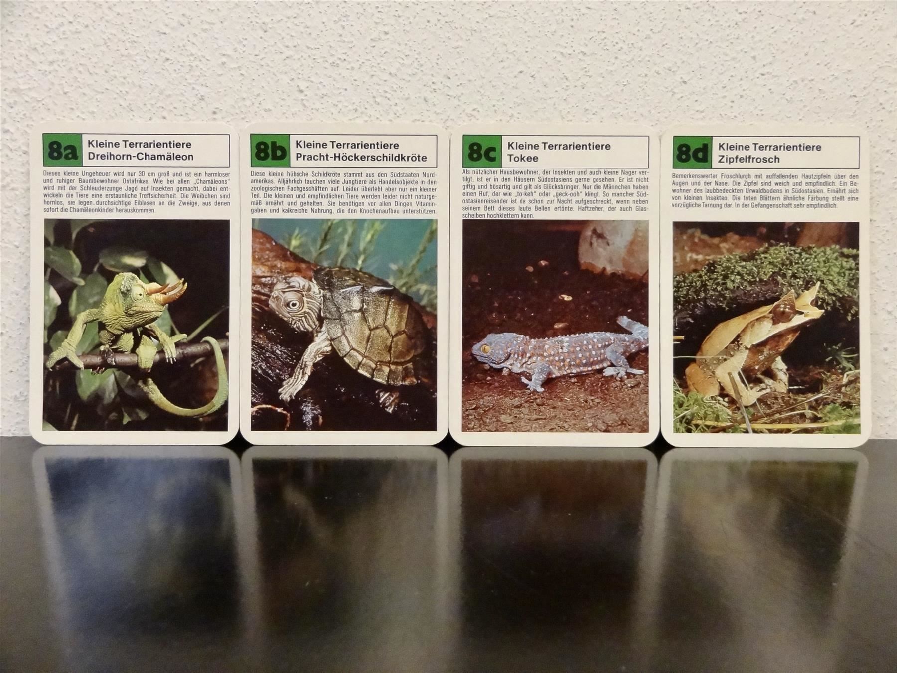 Spiele: Quartett TIER-QUARTETT ZOO-TIERE – Gebraucht aus Kerzers von wisaundso 9