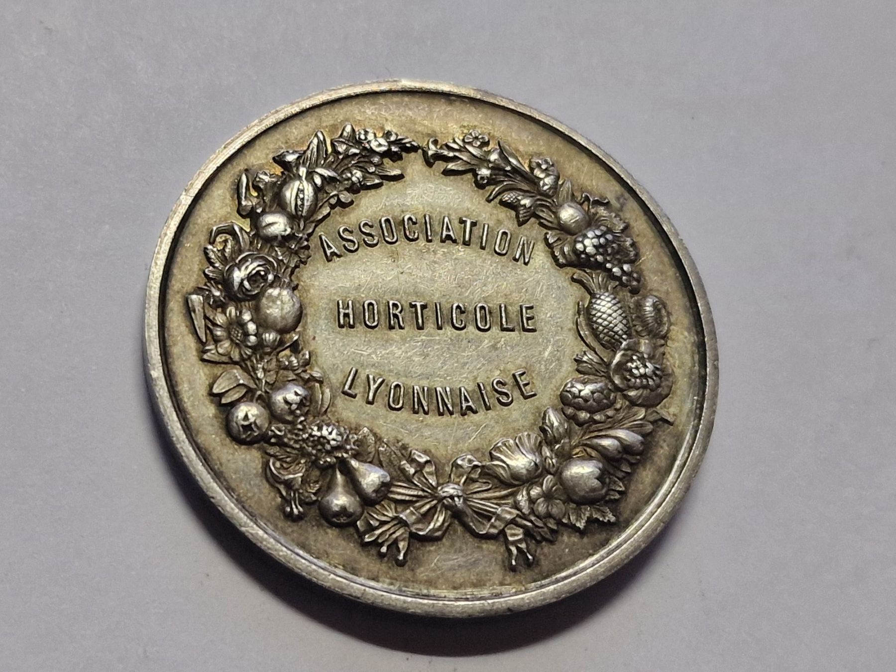 Medaglie: Silbermedaille Ville De Leon. – Usato da Zürich venduto da Moreira01 3