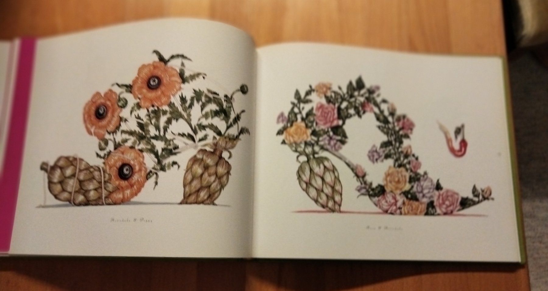 Bücher: The Botanical Footwear Dennis Kyte – Gebraucht aus Niederglatt ZH von Siegfried67 3