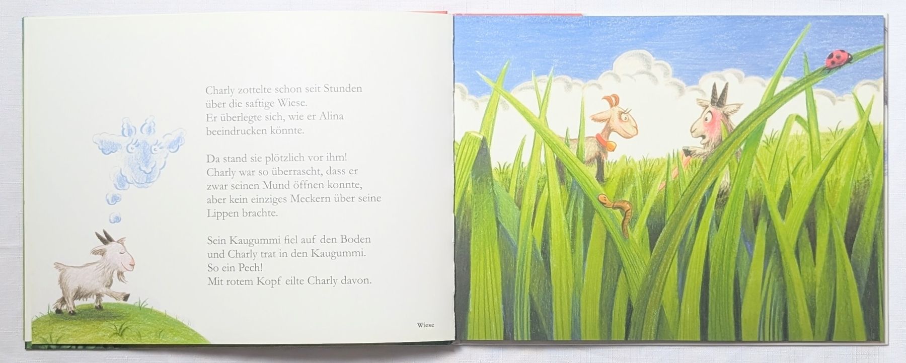 Livres: Der stinkende Geissbock - Roger Rhyner - Duft Buch – Neuf (Voir description) à Wängi par ABIZONE-86 2