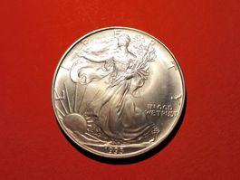 1993 EAGLE USA AMERICAN 1 OZ UNZE Zoa SILBER 999 DOLLAR