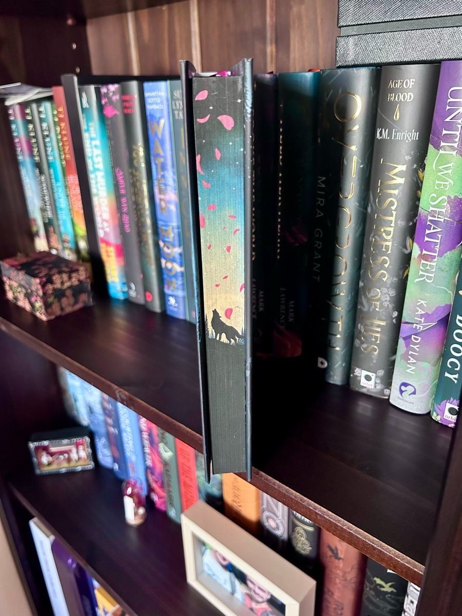Libri: Bundle The Locked Library 2024 - The Spice Gate + Moonstone – Nuovo (secondo la descrizione) da Lausanne venduto da BookwormCH 2
