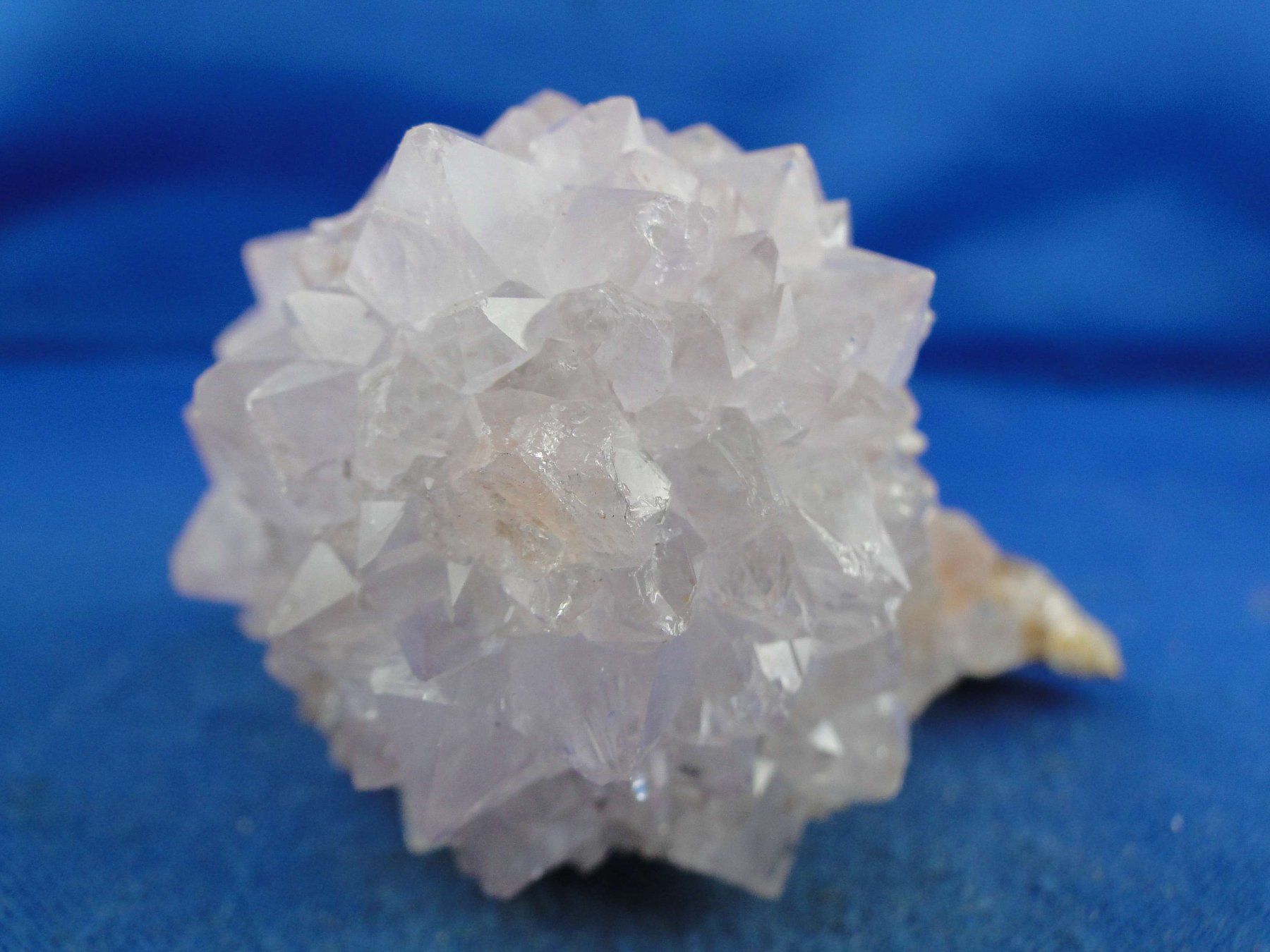 Minéraux & Lithothérapie: Quartz var. Amethyst & Kaktus – Neuf avec emballage d'origine à Schinznach Bad par Demerald 4