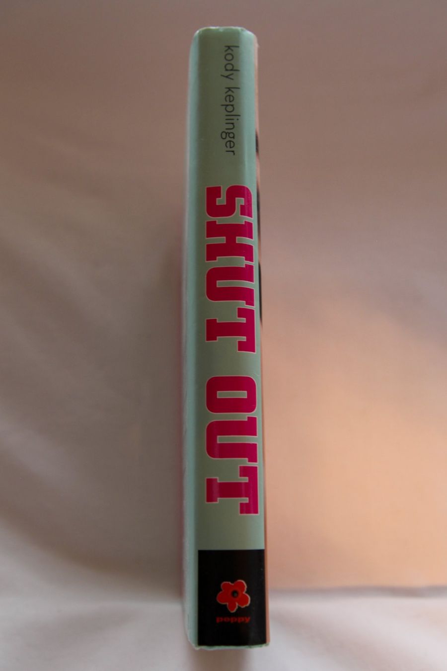 Libri: Buch Shut Out (engl.) – Usato da Mörschwil venduto da lilliput-land25 1