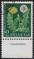 10 Rp. Löwenzahn mit TAB (deutsch)