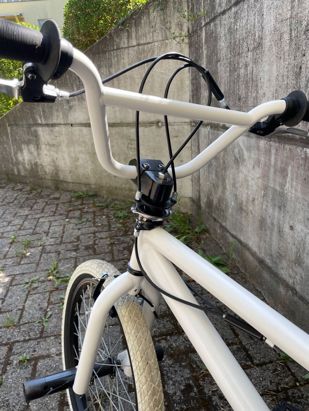 Biciclette: BMX – Usato da Ipsach venduto da Layco 1