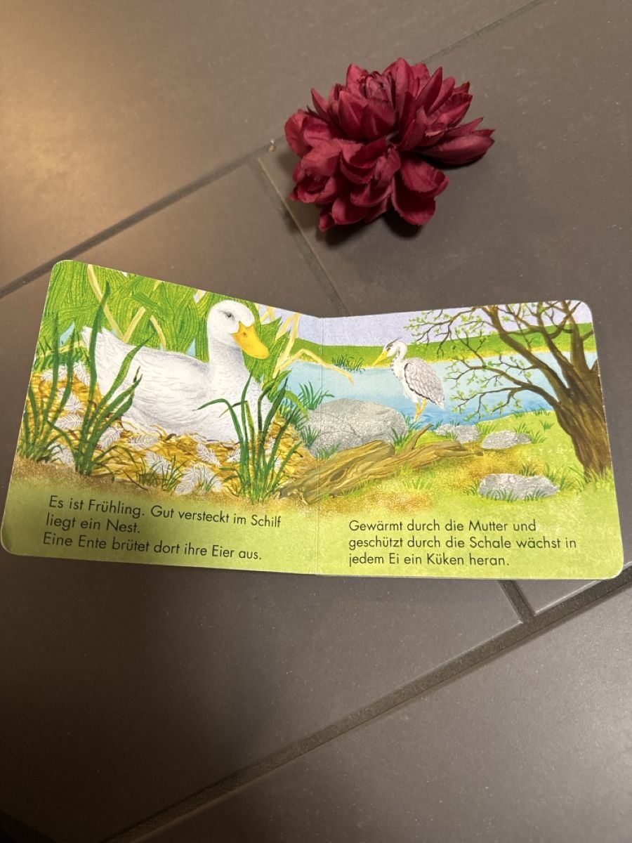 Libri: Kosmos Kinderbuch Das kleine Küken – Usato da Zürich venduto da Belisimo 1